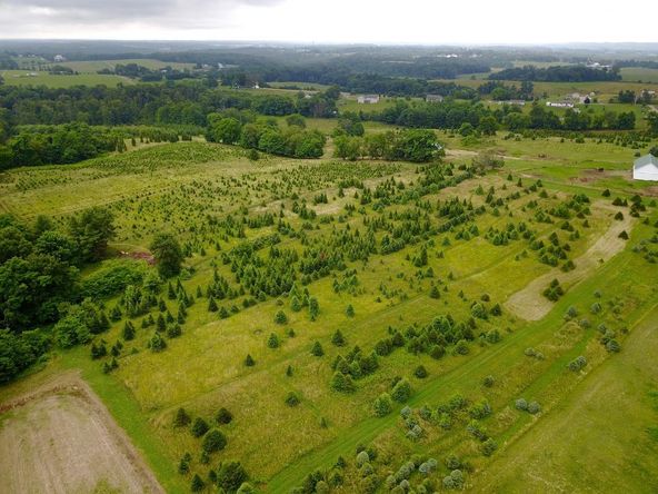 Old Log House Plantation Inc: 8656 State Route 13 NW, Somerset, OH 43783